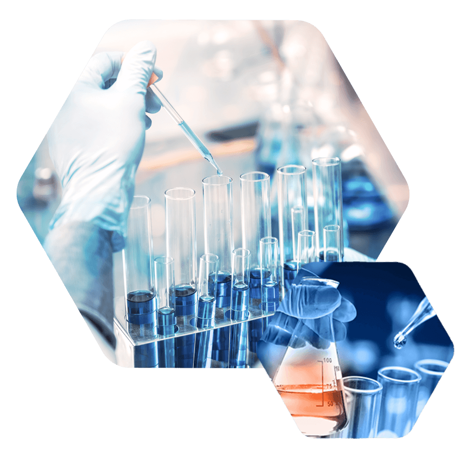 Pharmacometrics & Clinical Pharmacokinetics Laboratories (PcP)